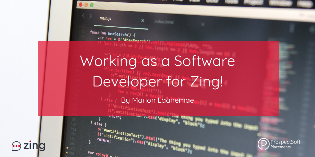 Working as a Software Developer